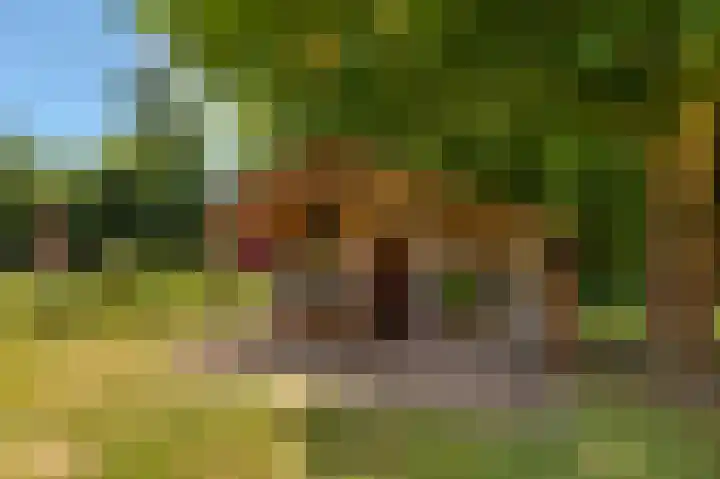 Den Borgweg 10 Rekken thumbnail 49