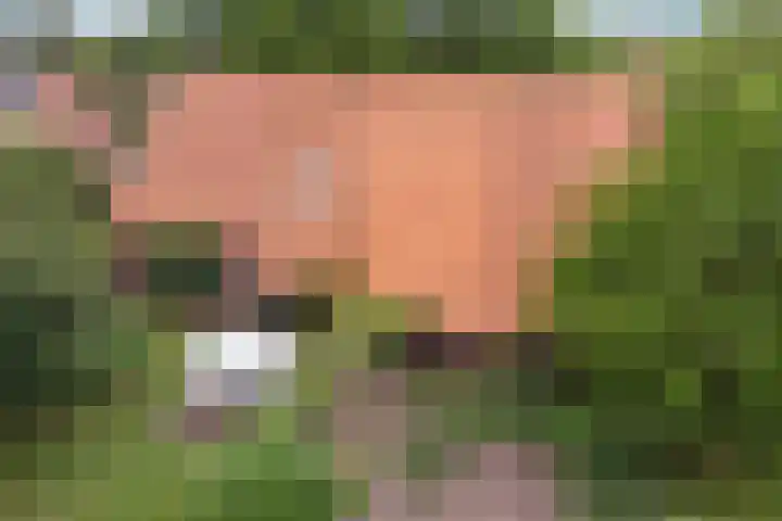 Den Borgweg 10 Rekken thumbnail 5