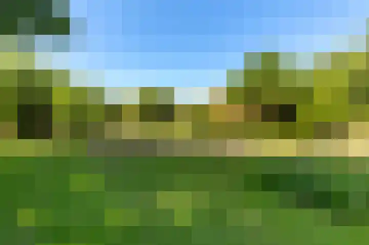 Den Borgweg 10 Rekken thumbnail 51