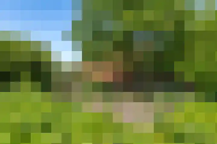 Den Borgweg 10 Rekken thumbnail 52
