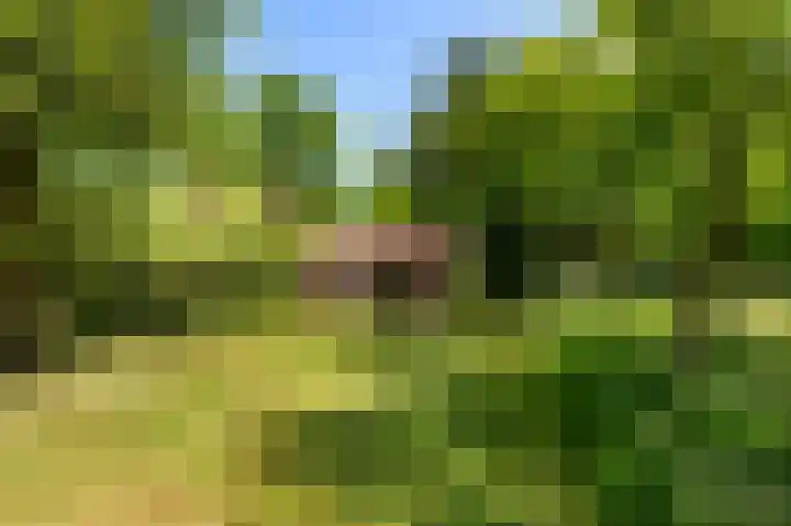 Den Borgweg 10 Rekken thumbnail 54