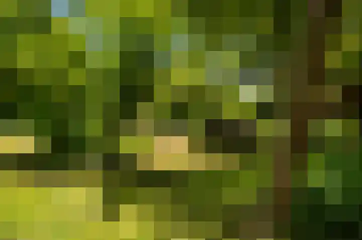 Den Borgweg 10 Rekken thumbnail 55
