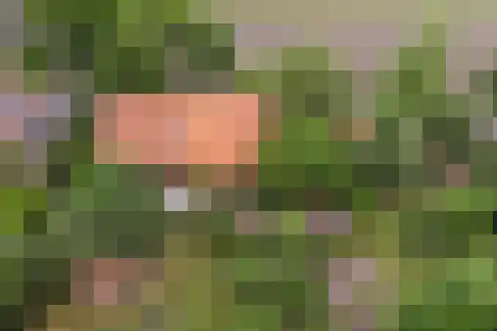 Den Borgweg 10 Rekken thumbnail 57