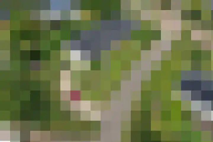 den Bruijl 33 Velp