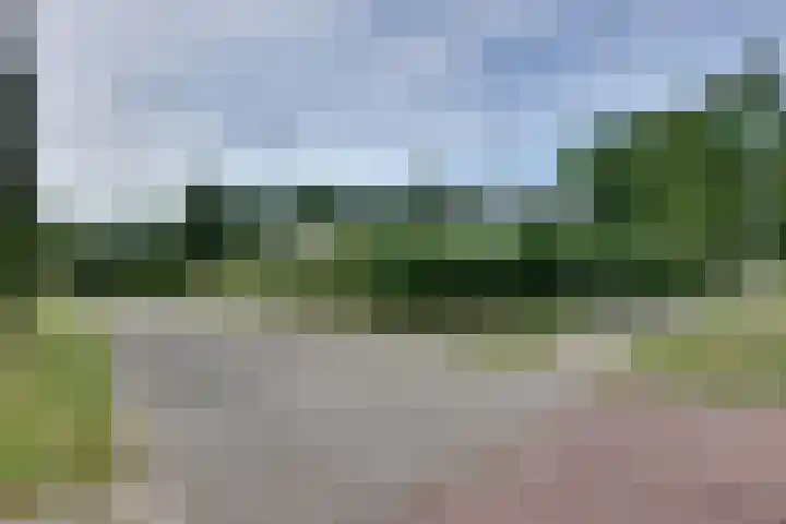 den Bruijl 33 Velp thumbnail 15