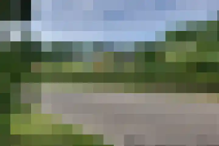 den Bruijl 33 Velp thumbnail 16