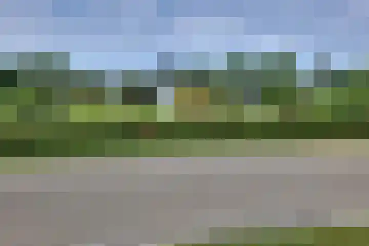 den Bruijl 33 Velp thumbnail 17