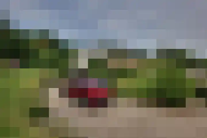den Bruijl 33 Velp thumbnail 19