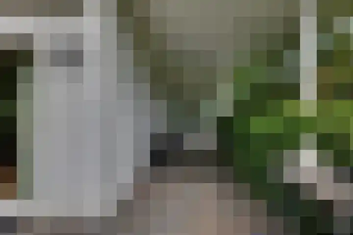 den Bruijl 33 Velp thumbnail 26