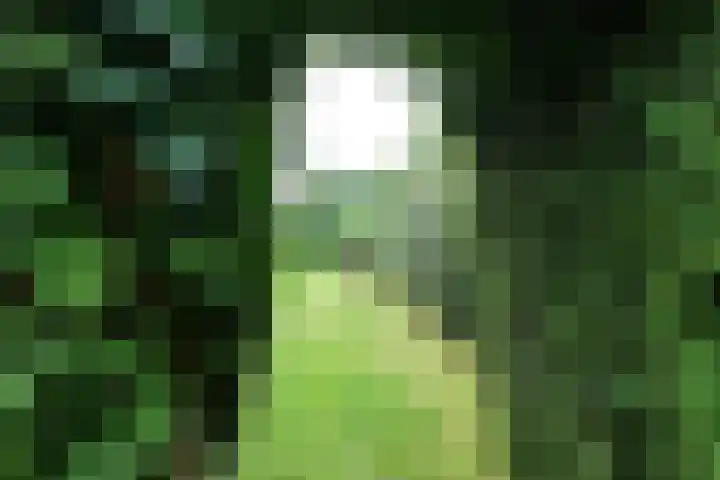 den Bruijl 33 Velp thumbnail 28