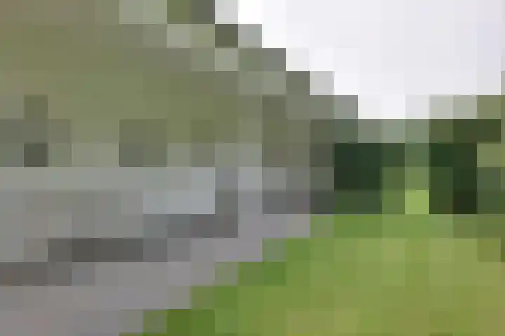 den Bruijl 33 Velp thumbnail 29