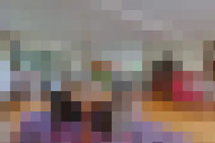 den Bruijl 33 Velp thumbnail 41