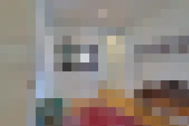 den Bruijl 33 Velp thumbnail 47