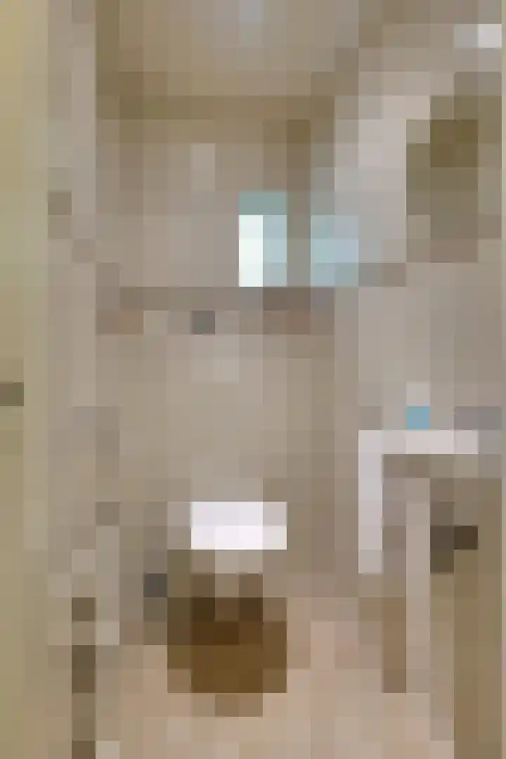 den Bruijl 33 Velp thumbnail 48