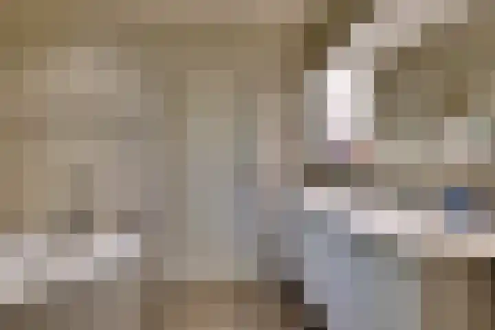 den Bruijl 33 Velp thumbnail 49