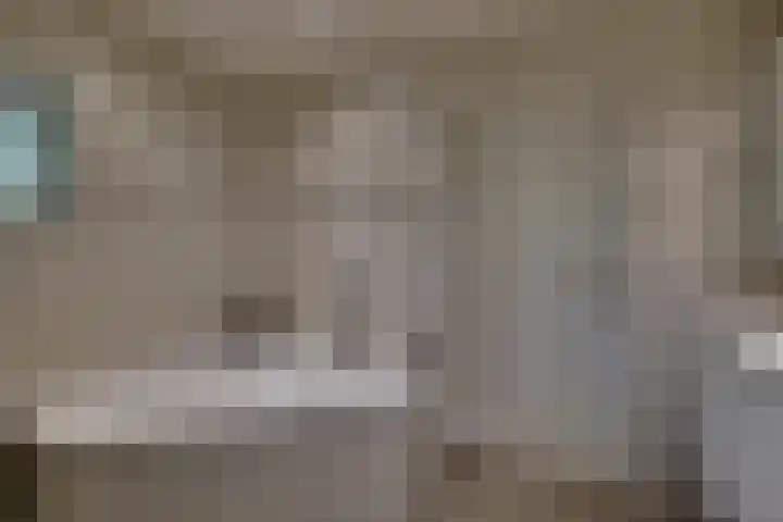 den Bruijl 33 Velp thumbnail 50