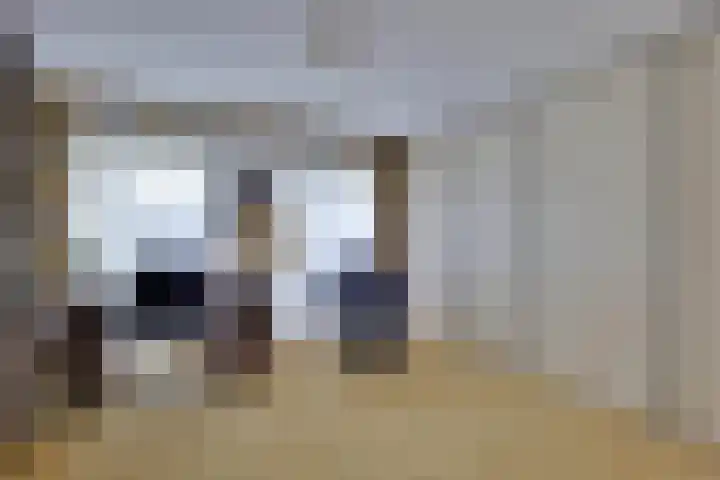 den Bruijl 33 Velp thumbnail 60