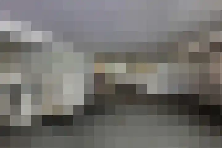 den Bruijl 33 Velp thumbnail 65