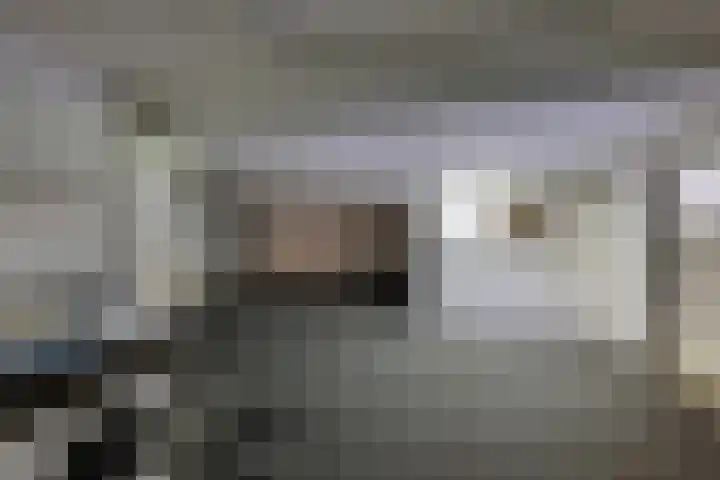 den Bruijl 33 Velp thumbnail 66