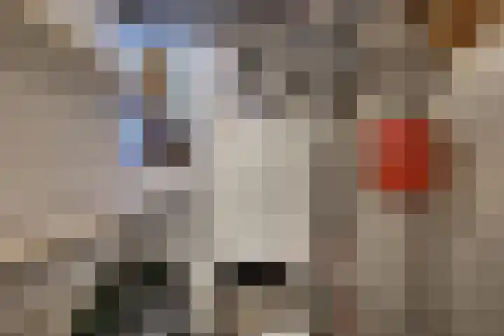den Bruijl 33 Velp thumbnail 68