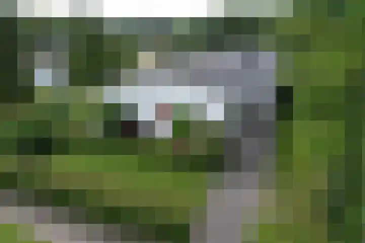 den Bruijl 33 Velp thumbnail 7