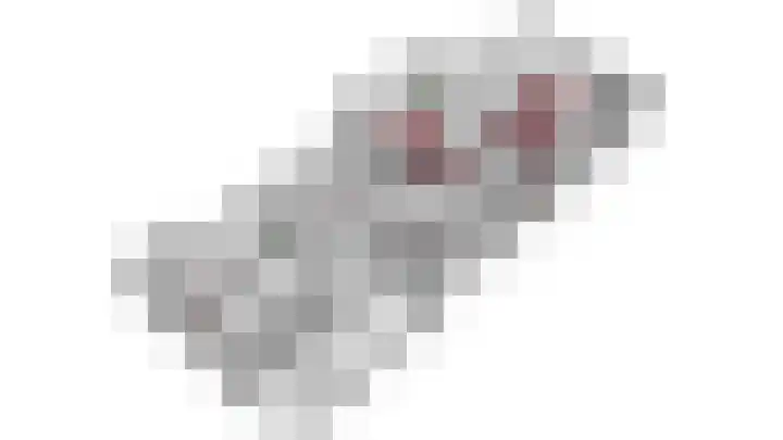 den Bruijl 33 Velp thumbnail 72