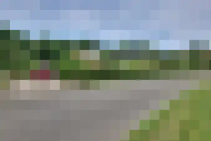 den Bruijl 33 Velp thumbnail 8