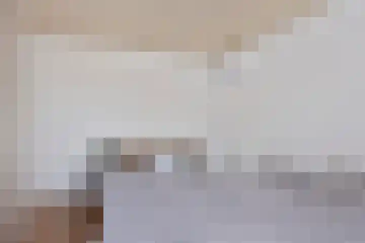 den Deel 3 Reusel thumbnail 18