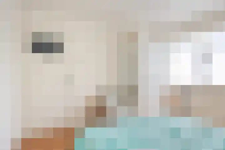den Deel 3 Reusel thumbnail 20