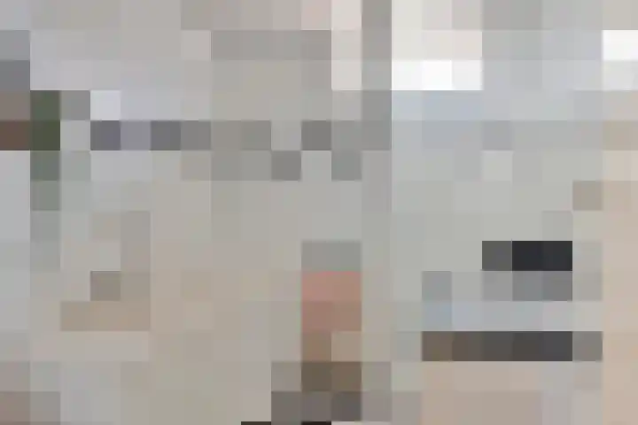 den Deel 3 Reusel thumbnail 23