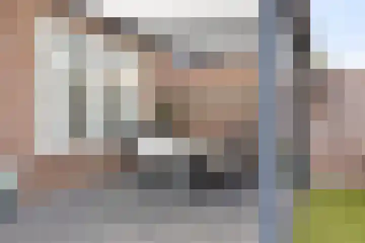 den Deel 3 Reusel thumbnail 35