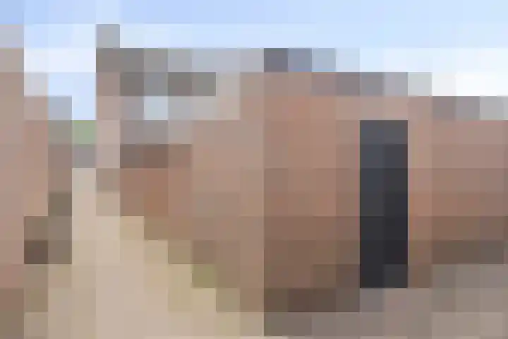 den Deel 3 Reusel thumbnail 37