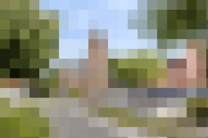 den Deel 3 Reusel thumbnail 39