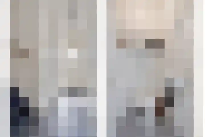 den Deel 3 Reusel thumbnail 4