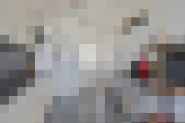 den Deel 3 Reusel thumbnail 5