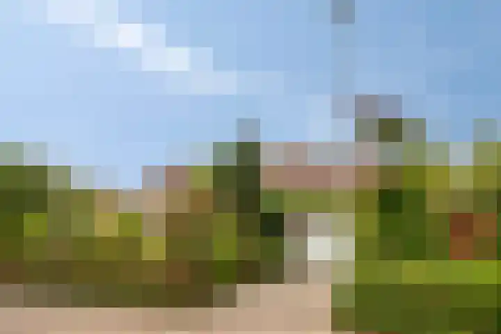 Den Domp 9 Ouwerkerk