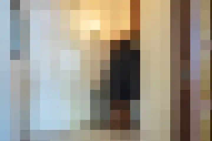 Den Dries 15 Gilze thumbnail 11