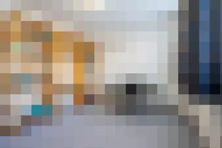 Den Dries 15 Gilze thumbnail 18