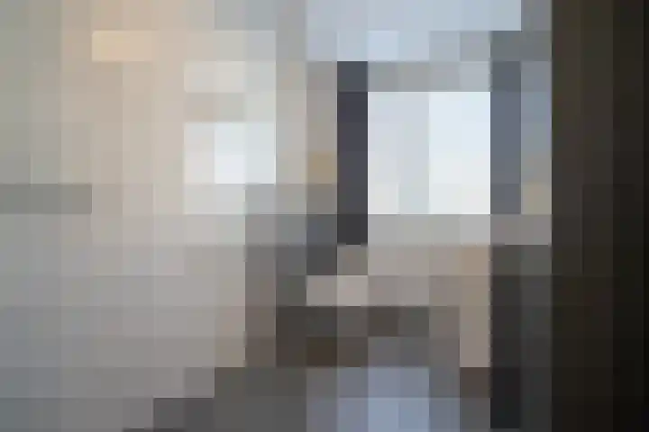 Den Dries 15 Gilze thumbnail 22