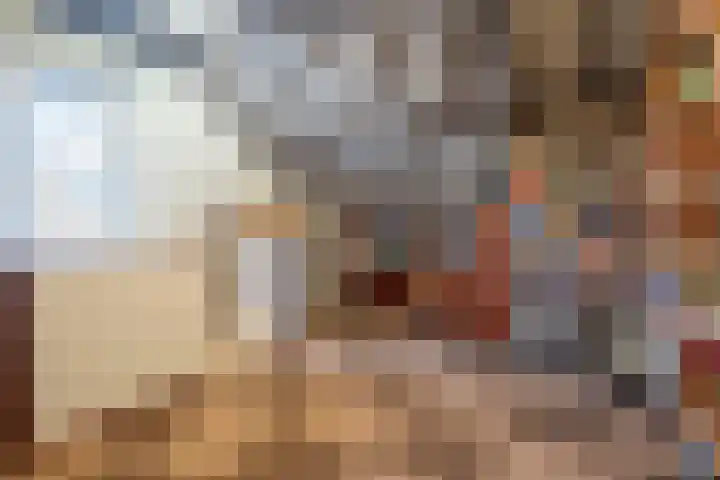 Den Dries 15 Gilze thumbnail 26