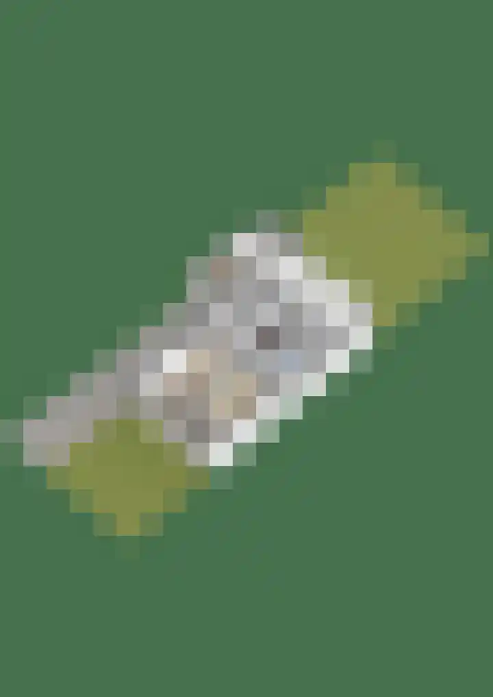 Den Dries 15 Gilze thumbnail 36