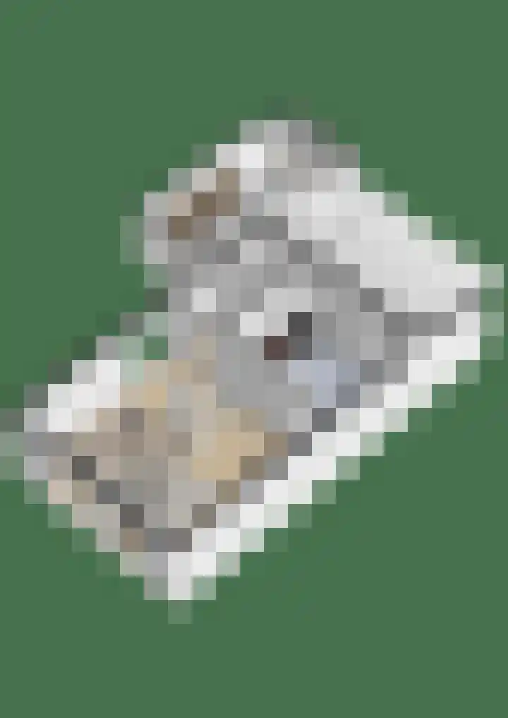 Den Dries 15 Gilze thumbnail 38