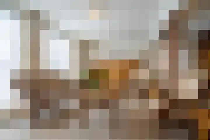 Den Dries 15 Gilze thumbnail 6