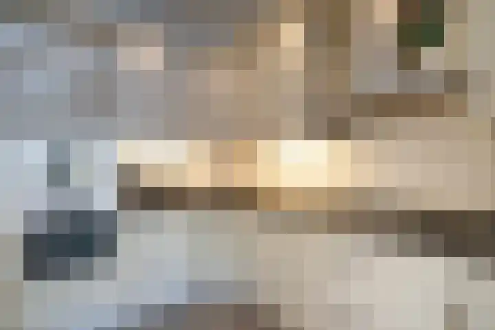 Den Dries 15 Gilze thumbnail 9