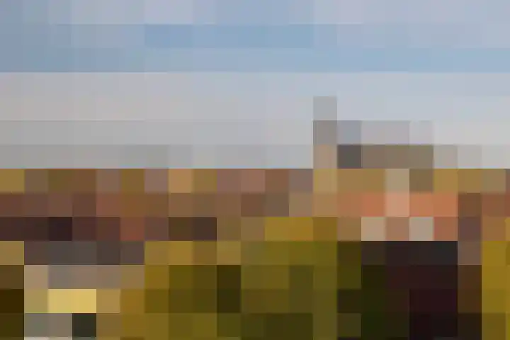 den Dries 19 Reusel foto 2