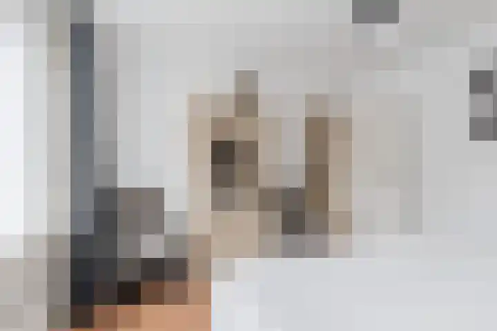 den Dries 19 Reusel thumbnail 20