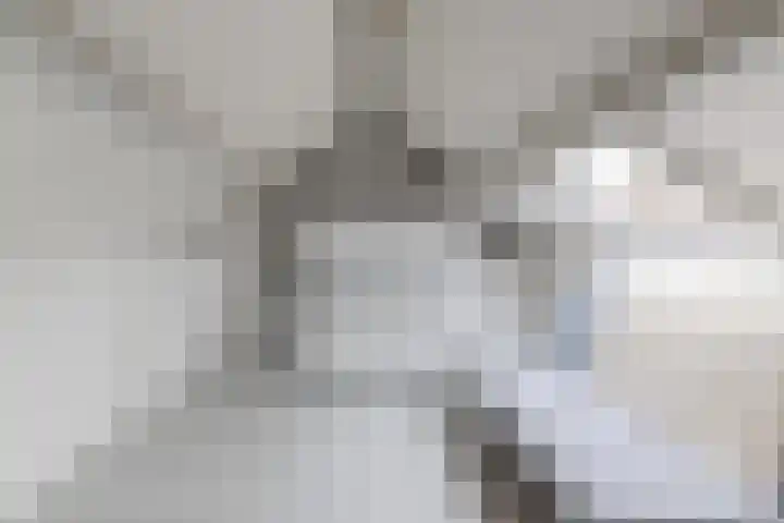 den Dries 19 Reusel thumbnail 25
