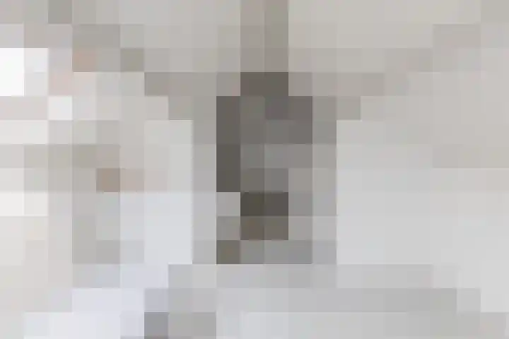 den Dries 19 Reusel thumbnail 26