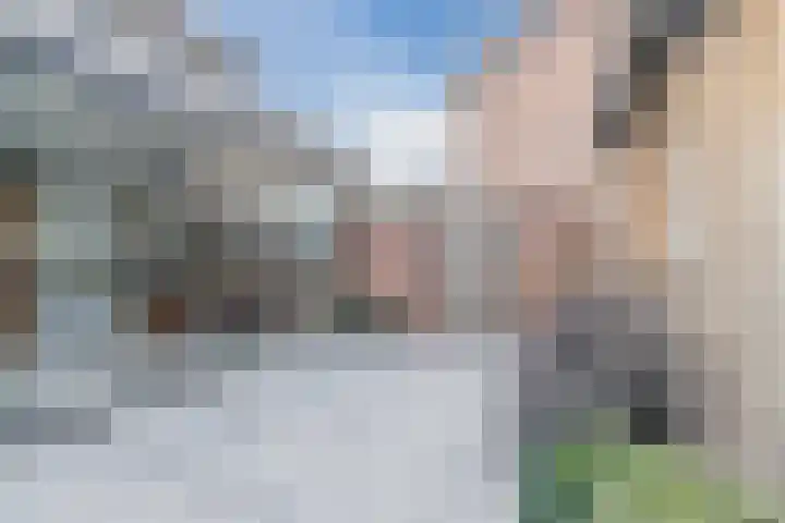 den Dries 19 Reusel thumbnail 28