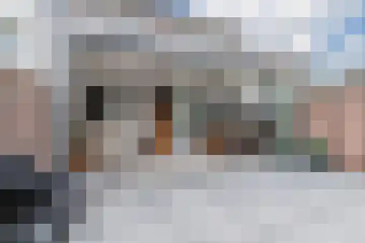 den Dries 19 Reusel thumbnail 30